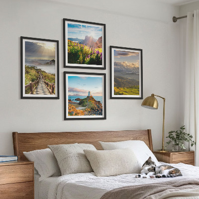 Set 4 slik v okvirju Nebesna pot gorskega cvetja