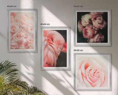 Set 4 slik v okvirju Pastelno roza flamingi