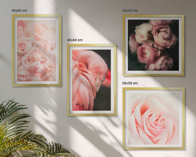Set 4 slik v okvirju Pastelno roza flamingi