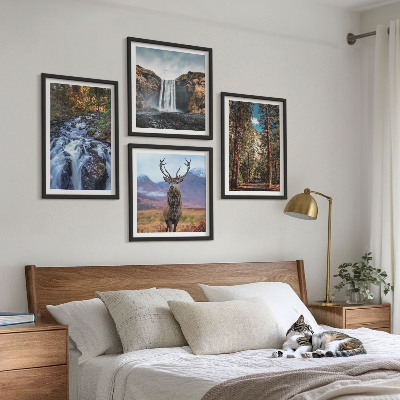 Pripravljena stenska galerija Slap gozd gore jelen narava