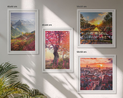 Set 4 slik v okvirju Gorske pokrajine s kolesom