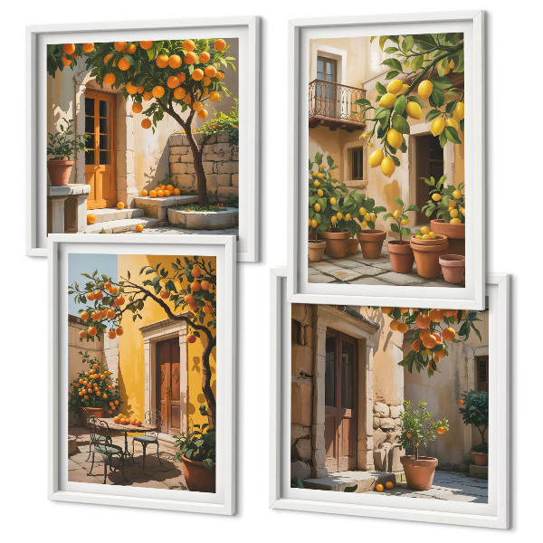 Set 4 slik v okvirju Agrumi na soncu