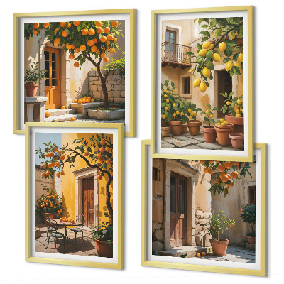 Set 4 slik v okvirju Agrumi na soncu