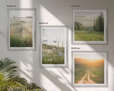 Pripravljena stenska galerija pokrajina narave s polji in soncem