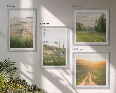 Pripravljena stenska galerija Pokrajine narava polja sonce