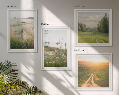 Pripravljena stenska galerija Pokrajine narava polja sonce