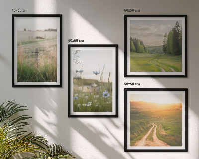 Pripravljena stenska galerija Pokrajine narava polja sonce