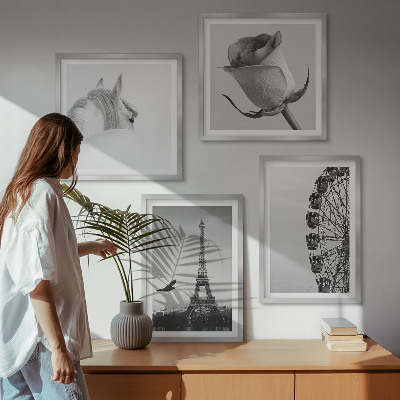 Pripravljena stenska galerija Črno-belo panoramsko kolo Rose Eifflov stolp s konjem