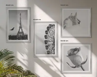 Pripravljena stenska galerija črno-bela panoramska slika s kolesom, Eifflovim stolpom in konjem
