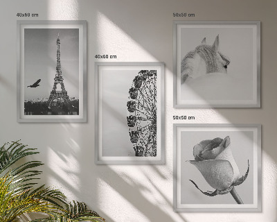 Pripravljena stenska galerija Črno-belo panoramsko kolo Rose Eifflov stolp s konjem
