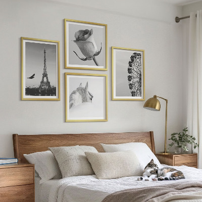 Pripravljena stenska galerija Črno-belo panoramsko kolo Rose Eifflov stolp s konjem