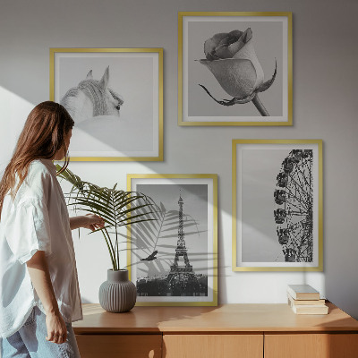 Pripravljena stenska galerija Črno-belo panoramsko kolo Rose Eifflov stolp s konjem