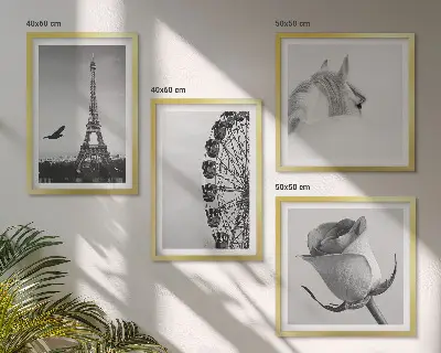 Pripravljena stenska galerija črno-bela panoramska slika s kolesom, Eifflovim stolpom in konjem