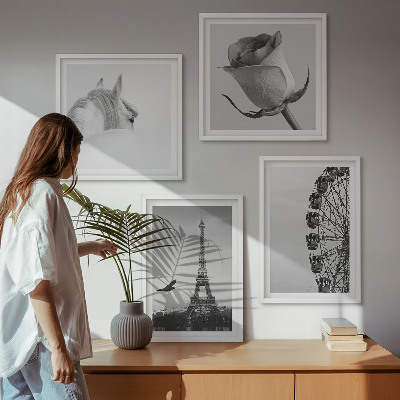 Pripravljena stenska galerija Črno-belo panoramsko kolo Rose Eifflov stolp s konjem