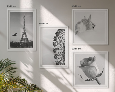 Pripravljena stenska galerija Črno-belo panoramsko kolo Rose Eifflov stolp s konjem