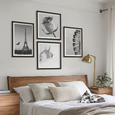 Pripravljena stenska galerija Črno-belo panoramsko kolo Rose Eifflov stolp s konjem