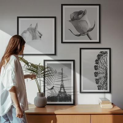 Pripravljena stenska galerija Črno-belo panoramsko kolo Rose Eifflov stolp s konjem