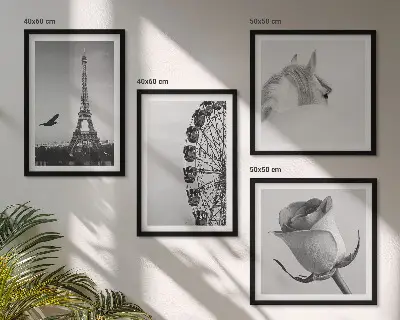 Pripravljena stenska galerija črno-bela panoramska slika s kolesom, Eifflovim stolpom in konjem