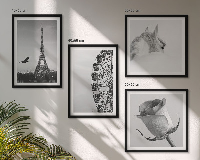 Pripravljena stenska galerija Črno-belo panoramsko kolo Rose Eifflov stolp s konjem
