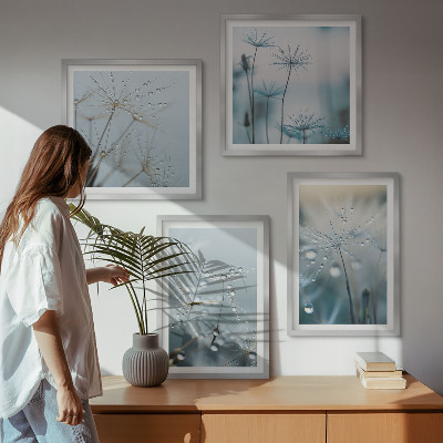 Pripravljena stenska galerija Kapljice rose na regratu