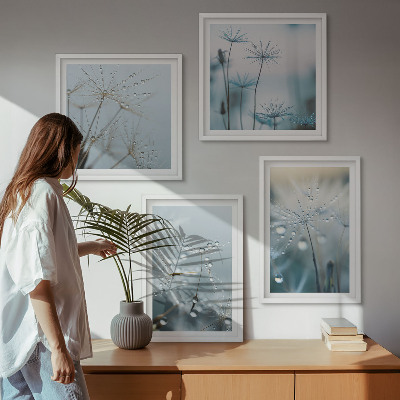 Pripravljena stenska galerija Kapljice rose na regratu