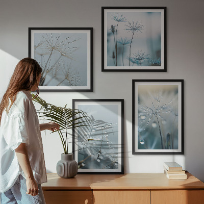 Pripravljena stenska galerija Kapljice rose na regratu