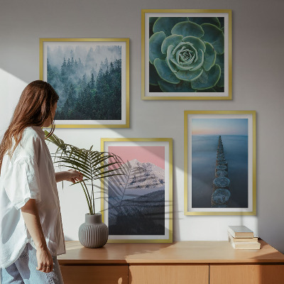 Pripravljena stenska galerija Gore roza nebo voda sukulentna