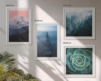 Pripravljena stenska galerija Gore roza nebo voda sukulentna