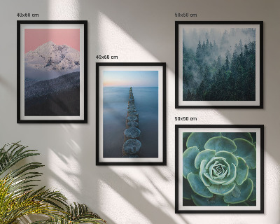 Pripravljena stenska galerija Gore roza nebo voda sukulentna