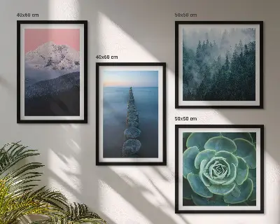 Pripravljena stenska galerija z motivom gora, rožnatega neba, vode in sukulent