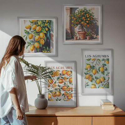 Pripravljena stenska galerija Sadni citrusni vzorci