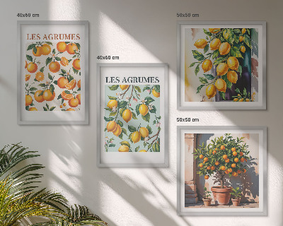 Pripravljena stenska galerija Sadni citrusni vzorci