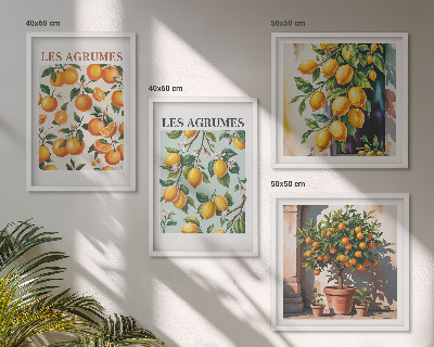 Pripravljena stenska galerija Sadni citrusni vzorci