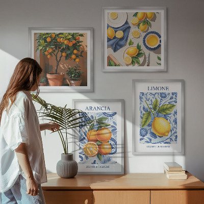 Set 4 slik v okvirju Ilustracije citrusov