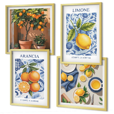 Set 4 slik v okvirju Ilustracije citrusov