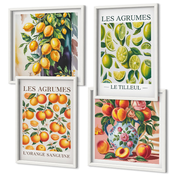 Set 4 slik v okvirju Sveži barviti citrusi