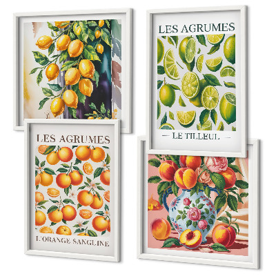 Set 4 slik v okvirju Sveži barviti citrusi