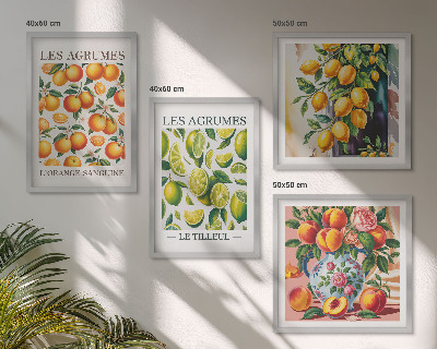 Set 4 slik v okvirju Sveži barviti citrusi