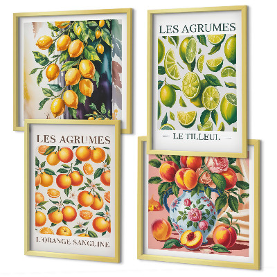 Set 4 slik v okvirju Sveži barviti citrusi