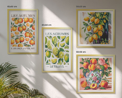 Set 4 slik v okvirju Sveži barviti citrusi