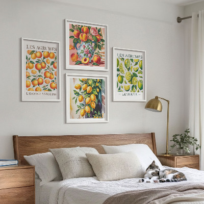 Set 4 slik v okvirju Sveži barviti citrusi