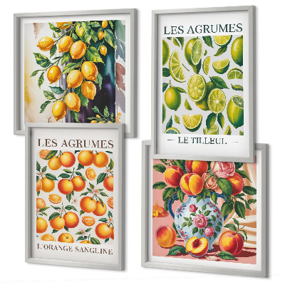 Set 4 slik v okvirju Sveži barviti citrusi