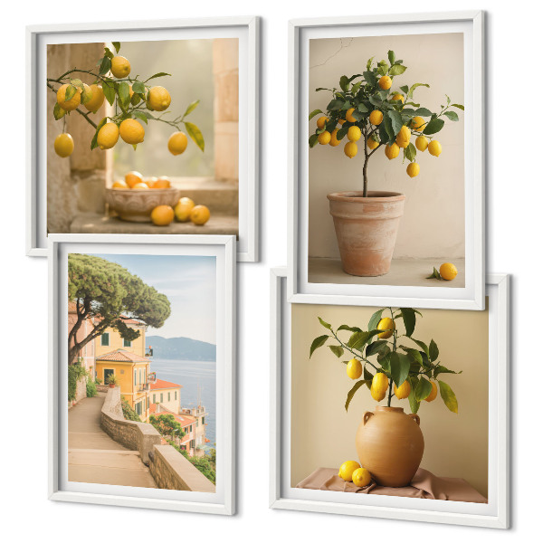 Pripravljena stenska galerija Limonovci v lončkih