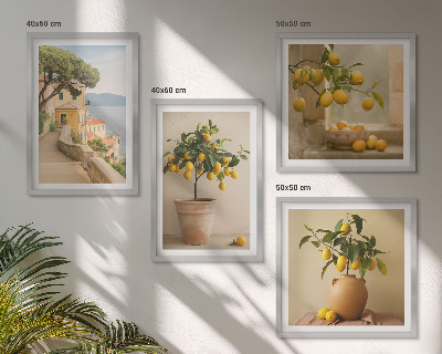 Pripravljena stenska galerija Limonovci v lončkih