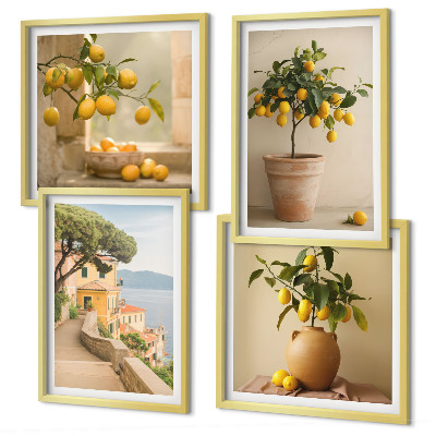Pripravljena stenska galerija Limonovci v lončkih