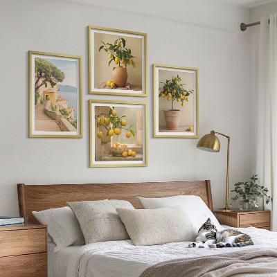 Pripravljena stenska galerija Limonovci v lončkih
