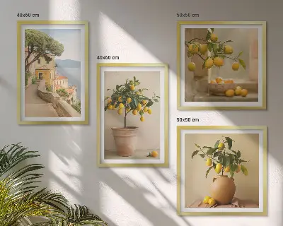 Stenska galerija Limonovci v lončkih pripravljen komplet