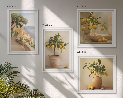 Pripravljena stenska galerija Limonovci v lončkih