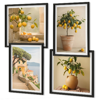 Pripravljena stenska galerija Limonovci v lončkih