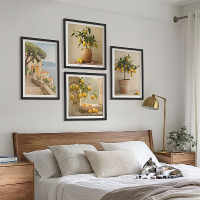 Pripravljena stenska galerija Limonovci v lončkih